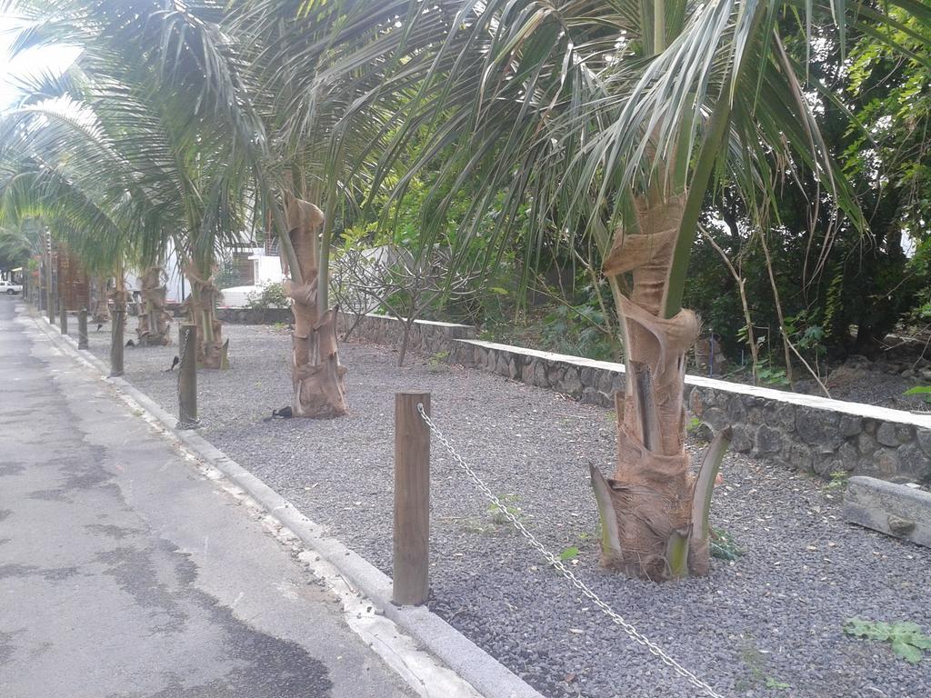 פרייבר Dodola Lodge מראה חיצוני תמונה